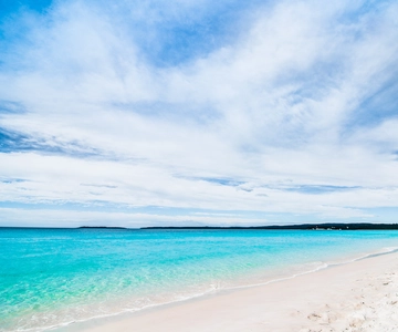 From Sydney: Jervis Bay Day Tour and Dolphin Watching Cruise