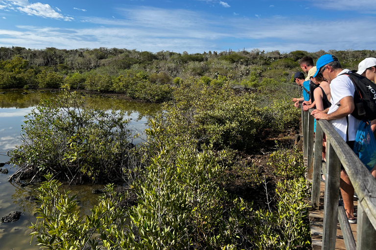 Santa Cruz: Snorkeling Sightseeing Tour at Las Grietas and Playa de los Alemanes