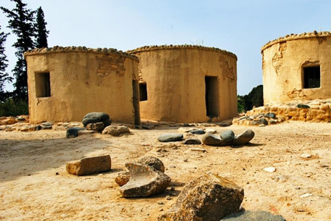 Da Paphos: Tour di Nicosia in polacco