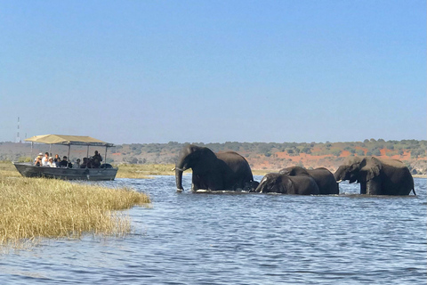 Livingstone: Chobe River Premium Photo Cruise