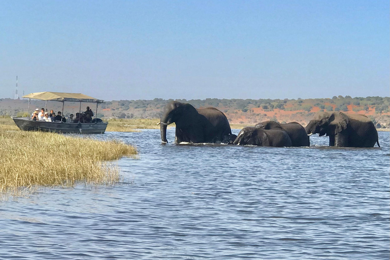 Livingstone: Chobe River Premium Photo Cruise