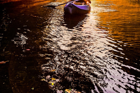 Caiaque de costas em Baga Goa