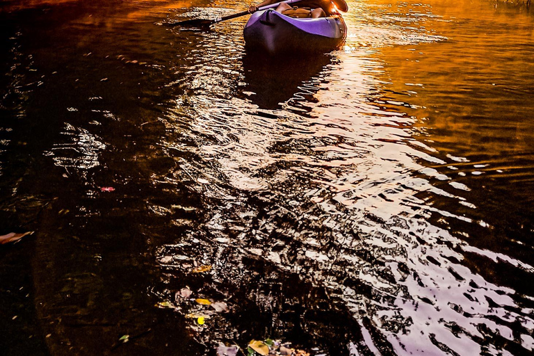 Kajakpaddling på bakvatten i Baga Goa