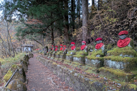 Tokyo:Nikko World Heritage Sites Customized Private Day Trip Nikko Private Tour –Minivan Up to 7 Guests