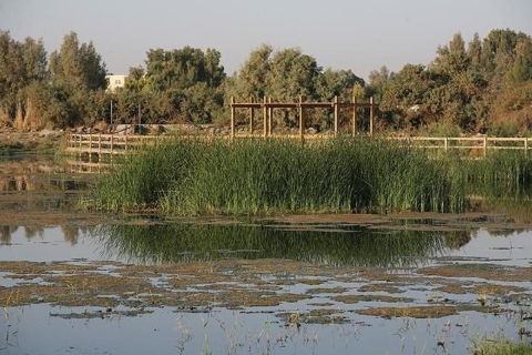Amman - Wüstenschlösser & Azraq Wetland Reserve GanztagesausflugAmman, Wüstenschlösser & Azraq Wetland Reserve Ganztags-VAN