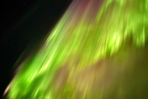 Rovaniemi: Guaranteed Northern Lights & Photography Tour