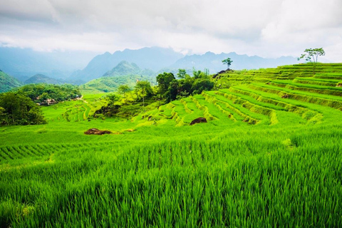 FRÅN HA NOI: UTFORSKA PU LUONG DAGSUTFLYKT