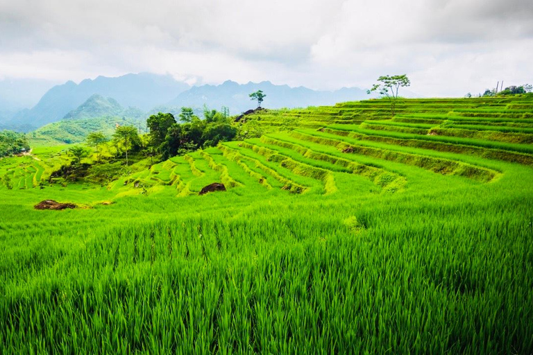 FRÅN HA NOI: UTFORSKA PU LUONG DAGSUTFLYKT