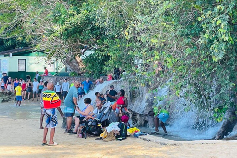 Montego Bay: Tour particular pelas Cataratas do Rio Dunn e pelo Buraco AzulMontego Bay: Excursão particular às Cataratas do Rio Dunn e ao Buraco Azul