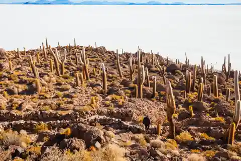 La Paz: Uyuni Salt Flats 2-dniowa wycieczka z przelotem i hotelem