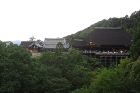 Kyoto : Pagode d'oro et Foresta di bambù (guida italiana)