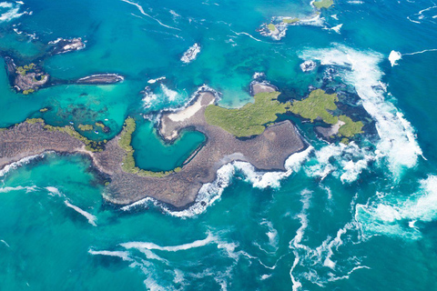 Isabela Island: Kayak sightseeing tour to Tintoreras with a bilingual tour guide