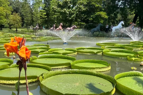 South China Botanical Garden Pass: Rare Flora & Forests