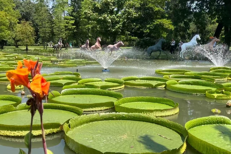 South China Botanical Garden Pass: Rare Flora & Forests