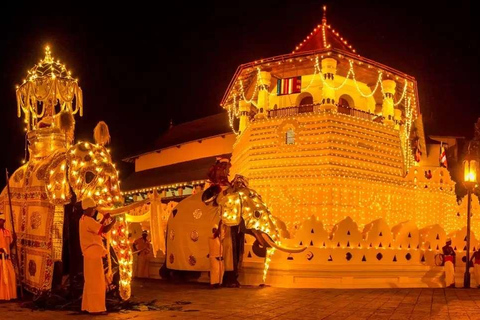 Vanuit Colombo - Dagtrip naar Kandy/ Pinnwala/ Koninklijke tuinen