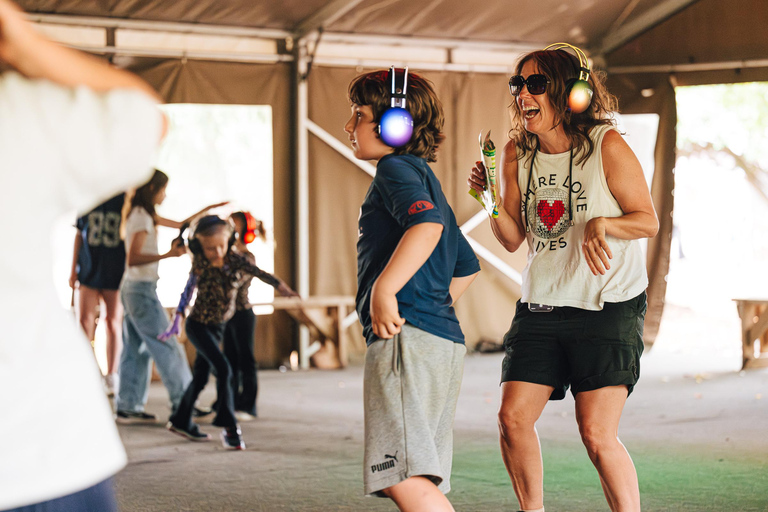 Avon Valley Adventure Park Lambing Live Entry Ticket