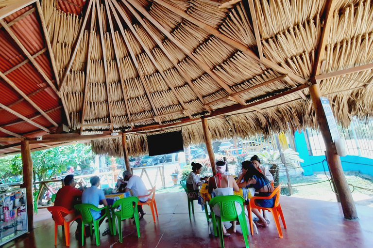 Privé: Punta Cana: buggytour met zwemmen in cenote &amp; MacaoPrivé: Punta Cana: Buggytocht met zwemmen in cenote &amp; Macao