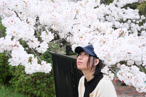 Photo Shoot Service in Kyoto Nanzen-ji Temple