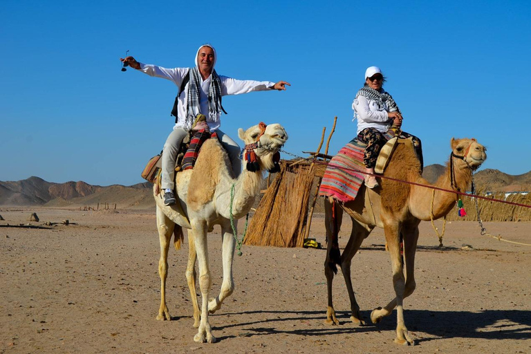 Hurghada: Quadriciclo, buggy, safári de jipe, passeio de camelo e jantarServiço de busca no hotel em Hurghada