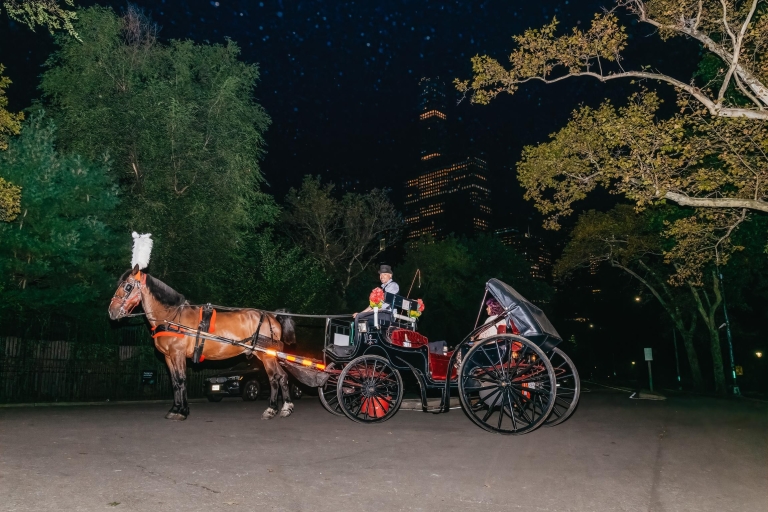 Central Park NYC: rit met paard en wagen