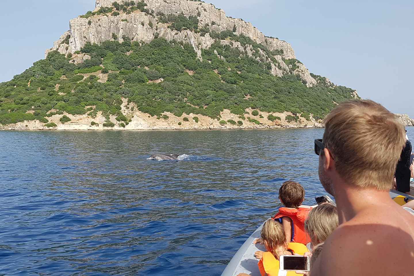 Dolphins: Dolphin Watching Tour and Capo Figari by Raft