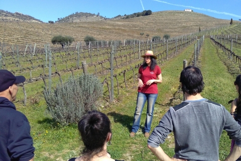Vallée du Douro : visite de 3 vignobles avec déjeuner