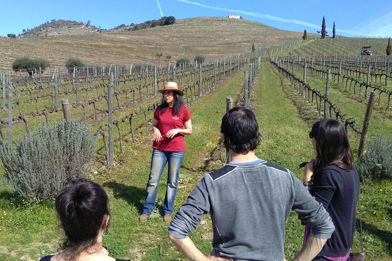 Vallée du Douro : visite de 3 vignobles avec déjeuner