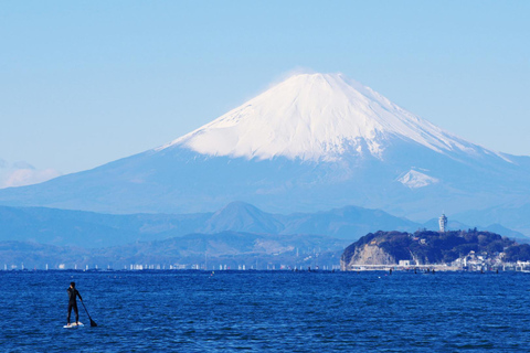 Tour de 1 día del Buda de Kamakura, Enoshima, santuario desde TokioRecogida en la estación de Tokio 8:00