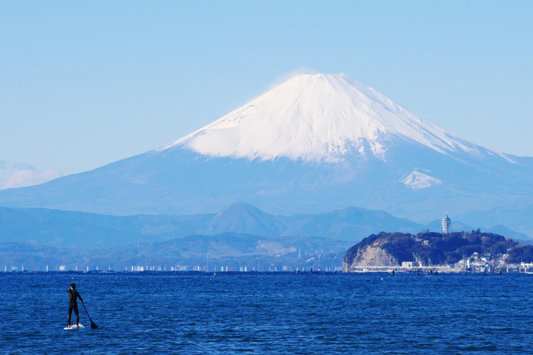 Tour de 1 dia pelo Buda de Kamakura, Enoshima, santuário saindo de TóquioVocê será buscado na estação de Shinjuku às 8h30