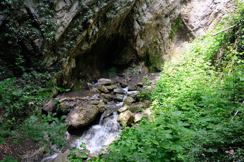 Depuis Shamakhi : Excursion d&#039;une journée à Gabala, Tufandag et au lac Nohur