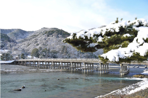 Kyoto: Arashiama Rundvandring i Arashiyama med te och fotbad