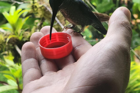 Total Adventure in Mindo - Full day