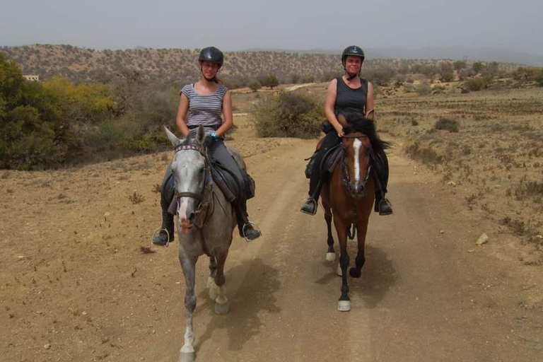 Agadir/ Taghazout: 2 uur paardrijden op het strandTaghazout Paardrijden