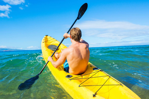 Manuel Antonio: Kayak di mare o SUP - Guida turistica della Costa Rica