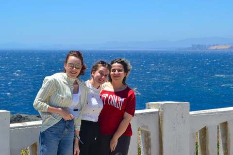Santiago: Valparaíso Cruise Port Transfer & Vineyard Tour