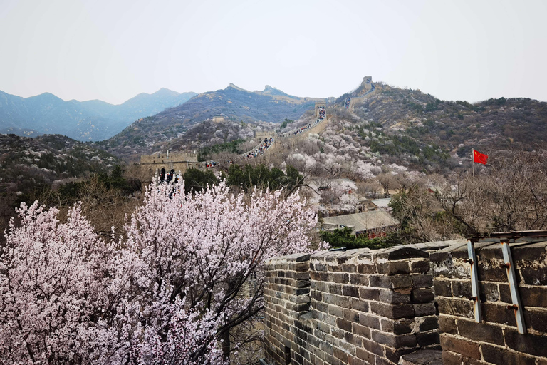 Beijing: Forbidden City, Tiananmen Square, & Great Wall Tour