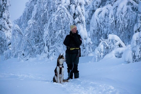 Äkäslompolo: Husky Trail Walk, Walk 1:1 with Your Own Husky Meet at the meeting point in Äkäslompolo