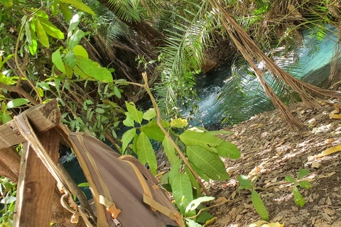Moshi Materuni watervallen, Chemka warmwaterbronnen en koffietourMoshi: Materuni watervallen, Chemka warmwaterbronnen, koffietour