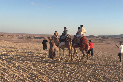 Giro in cammello con tramonto e osservazione delle stelleServizio di prelievo in hotel a hurghada