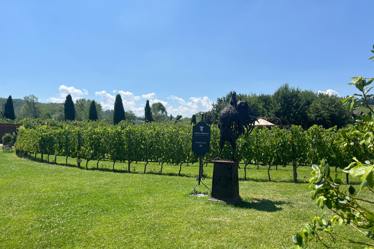 Florence: Pisa, Siena, & San Gimignano Day Trip with Lunch VIP SMALL GROUP