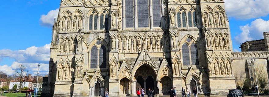 Au départ de Southampton : New Forest et Salisbury visite privée