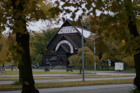 Sztokholm: bilet wstępu do muzeum pod gołym niebem SkansenBilet do muzeum pod gołym niebem