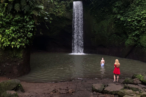 Bali: Private Ubud Highlights Tour with Customized Tour Temple, Monkey Forest, Waterfalls, & More (Without Tickets)