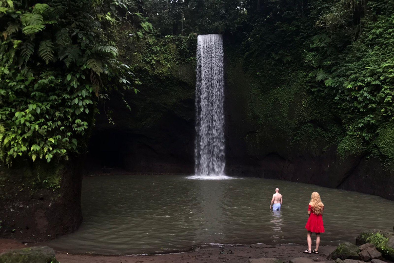 Bali: Private Ubud Highlights Tour with Customized Tour Temple, Monkey Forest, Waterfalls, & More (Without Tickets)