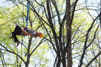 Gatlinburg, Zipline Canopy Tour - Housity