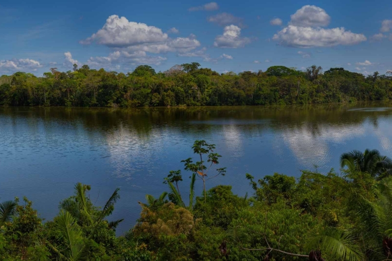 Madre de Dios |4 Días de excursión a Tambopata con ceremonia de ayahuasca