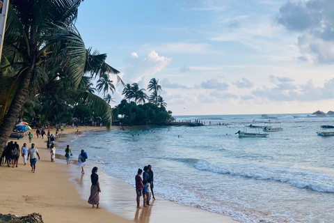 Galle Fort, Mask Museum, and Turtle Hatchery Day Trip