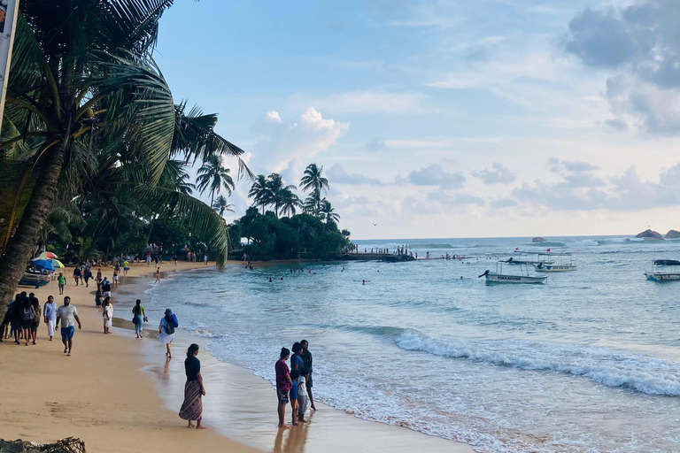 Galle Fort, Mask Museum, and Turtle Hatchery Day Trip