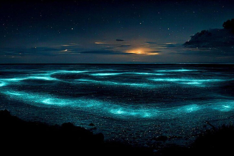 Grand Cayman: Bioluminescent Bay Boat Tour with Snorkeling