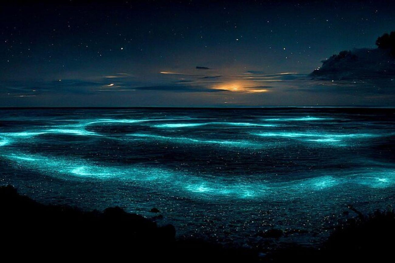 Grand Cayman: Bioluminescent Bay Boat Tour with Snorkeling